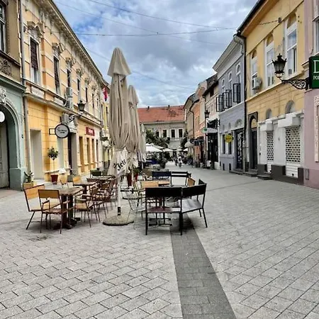 Alina Urban Getaway Center Pet Friendly *