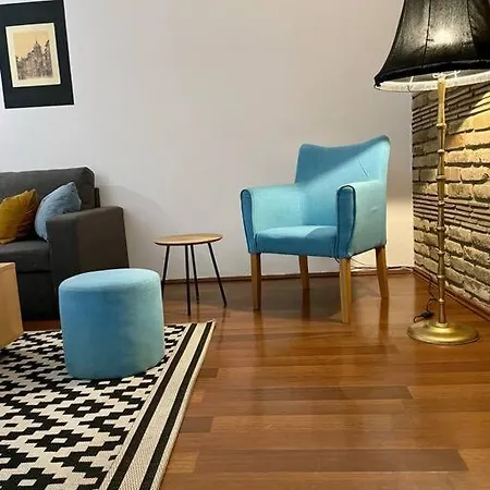 Alina Urban Getaway Center Pet Friendly נובי סאד